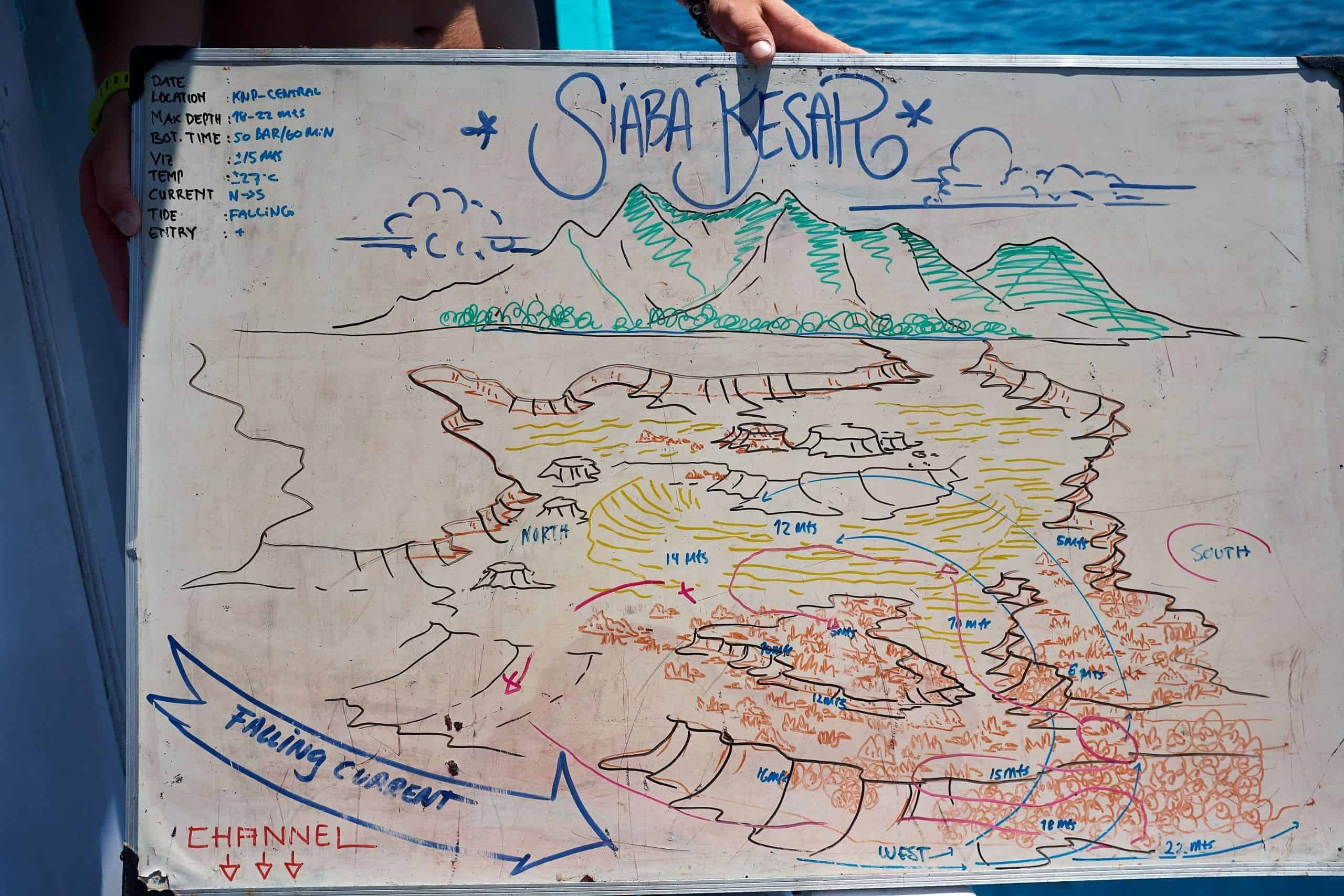 Dive brief, Komodo Dive brief, Komodo