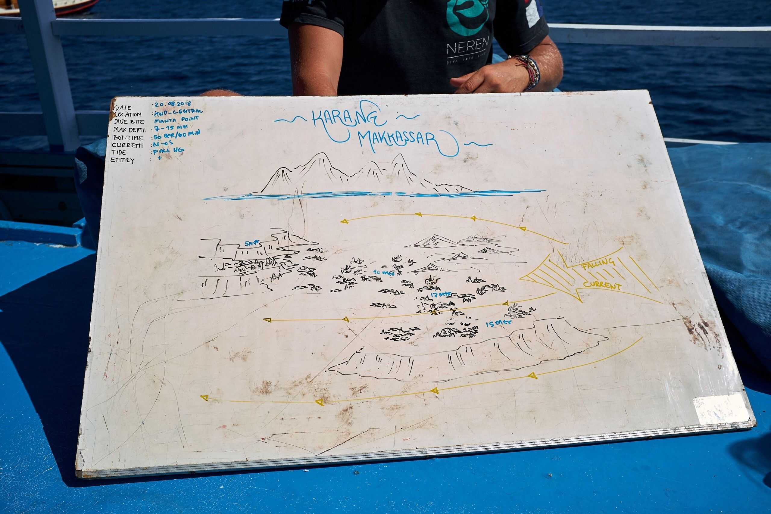 Dive brief, Komodo Dive brief, Komodo